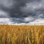 Wetter: Sommerpause - Kühlere Tage und Nächte im Südwesten