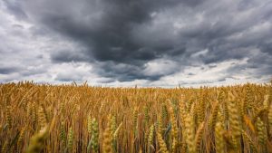 Wetter: Sommerpause - Kühlere Tage und Nächte im Südwesten