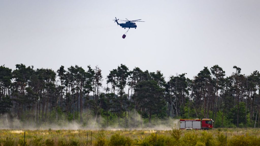 Waldbrand: Schauer und Gewitter angesagt - Hilfe für Waldbrandgebiet?