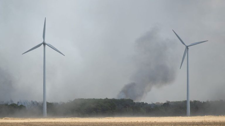 Wetterausblick: Sehr hohe Waldbrandgefahr im Süden Brandenburgs