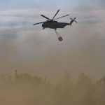 Wetterausblick: Waldbrandlage in Brandenburg stabil - keine Entwarnung
