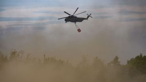Wetterausblick: Waldbrandlage in Brandenburg stabil - keine Entwarnung