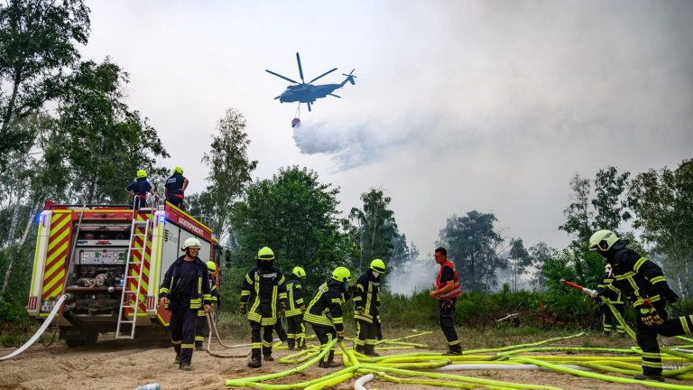 Waldbrand: Feuerwehr ändert Taktik bei Waldbrand in der Gohrischheide
