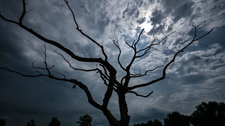 Wetter: Wolken und Regen in Rheinland-Pfalz und dem Saarland