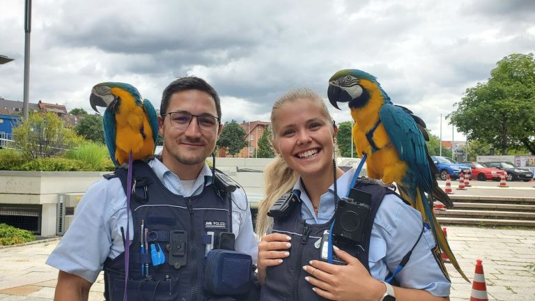 Polizei: Polizisten spielen Papageien-Sitter
