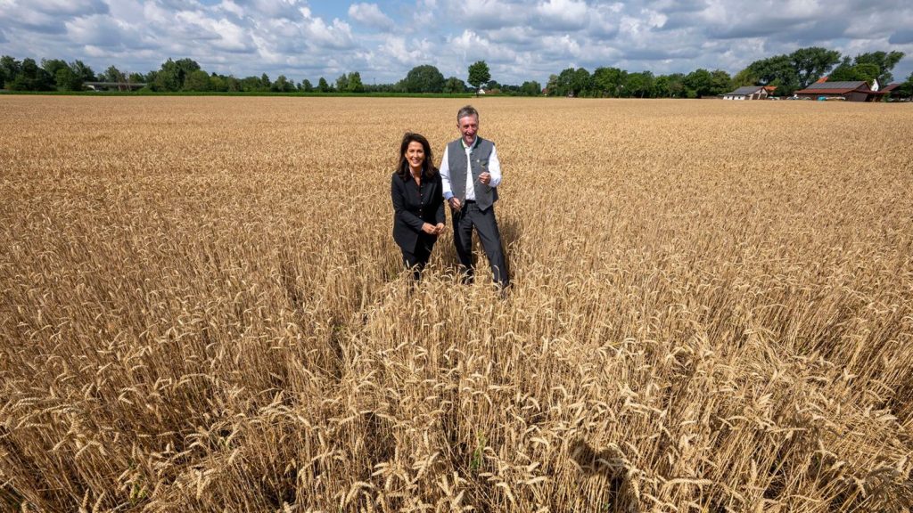 Landwirtschaft: Trocken und heiß: Unterdurchschnittliche Ernte erwartet
