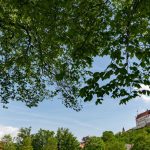 Landshut: Menschliche Überreste bei Bauarbeiten gefunden