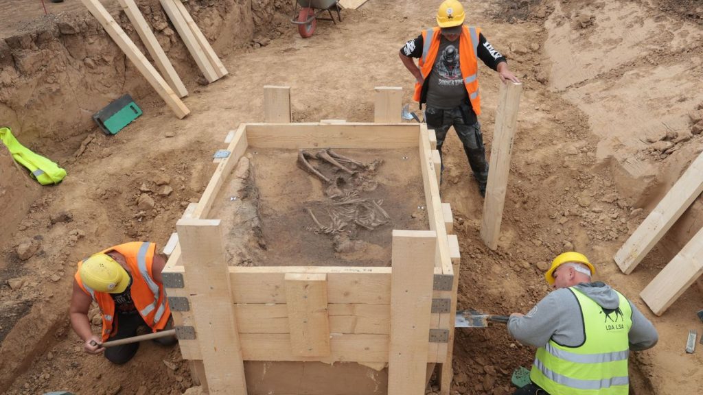 Archäologie: Taschen mit aufgenähten Hundezähnen bei Grabungen gefunden