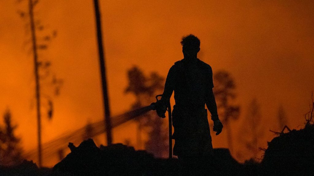 Waldbrand: Löschwasser im Wald: Feuerwehr sieht Eigner in der Pflicht