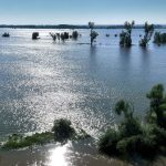 Hochwasseranalyse: Jahrhunderthochwasser: Sachsen-Anhalt mit hohem Risiko