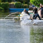 Voraussage: Studie: Schäden bei Hochwasser in Brandenburg wären hoch