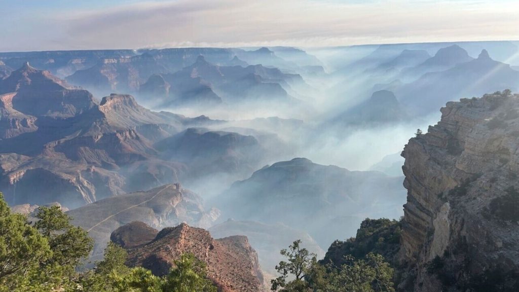 Brände: Grand-Canyon-Nationalpark wegen Feuers teilweise evakuiert