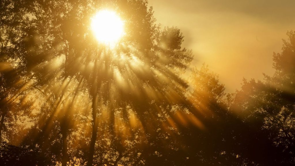 Wetter: Regnerischer Wochenstart nach heiteren Sommertagen