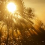 Wetter: Regnerischer Wochenstart nach heiteren Sommertagen