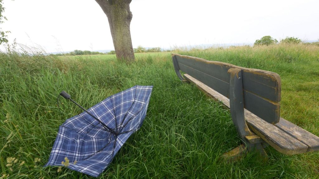 Wetter-Vorhersage: Gewitter mit Starkregen, Sturmböen und Hagel