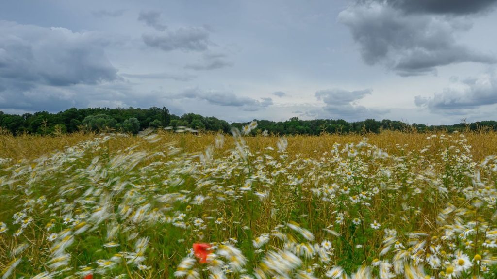 Wetter: Wechselhafter Wochenstart in Berlin und Brandenburg