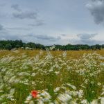 Wetter: Wechselhafter Wochenstart in Berlin und Brandenburg