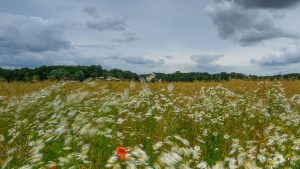 Wetter: Wechselhafter Wochenstart in Berlin und Brandenburg