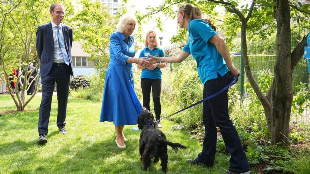 Königin Camilla eröffnet "Hundegarten": Darum durfte ihre Hündin Moley nicht mit