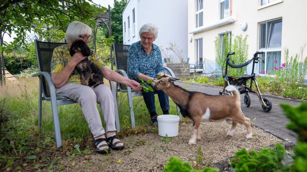 Tiere und Glück: "Glücksmomente" - Was Tiere im Seniorenheim auslösen