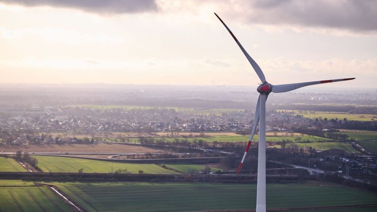 Windkraft: Gegenwind aus Brandenburg: Berlin prüft Windräder-Standorte