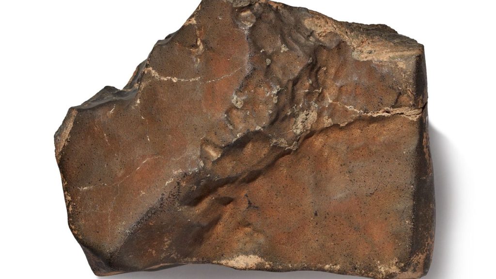 Auktion: Stück vom Mars für Rekordpreis versteigert