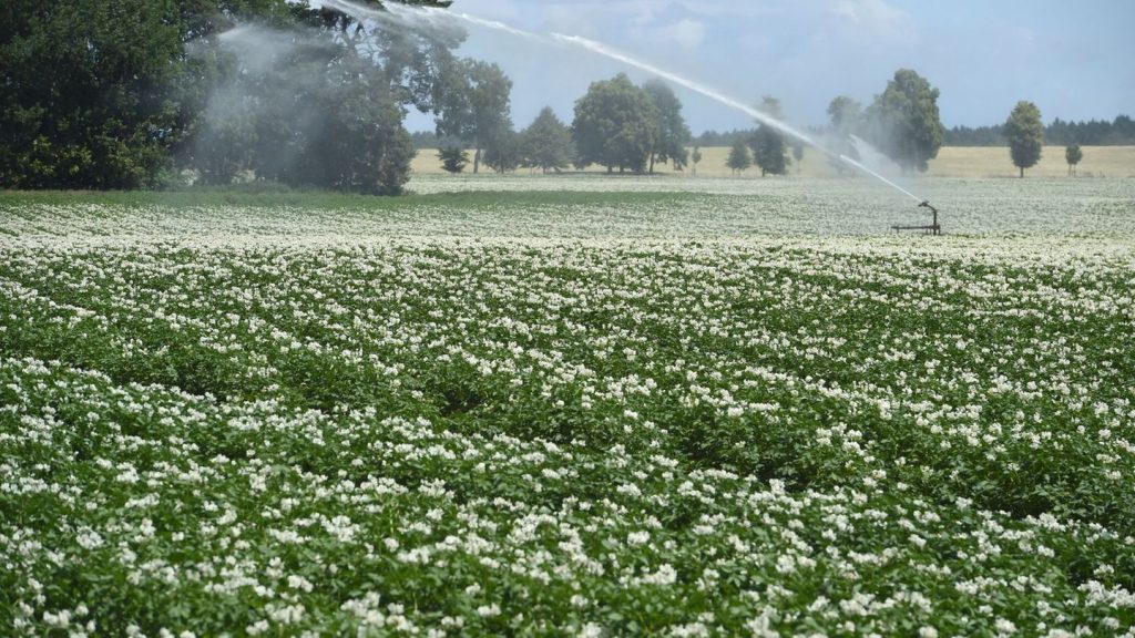 Wasser: Neues Wassergesetz stärkt Gewässerschutz - Gebühren steigen