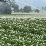 Wasser: Neues Wassergesetz stärkt Gewässerschutz - Gebühren steigen