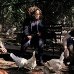 Prinz Harry und Herzogin Meghan: Oprah, die Sussexes und der "Enten-Notfall"
