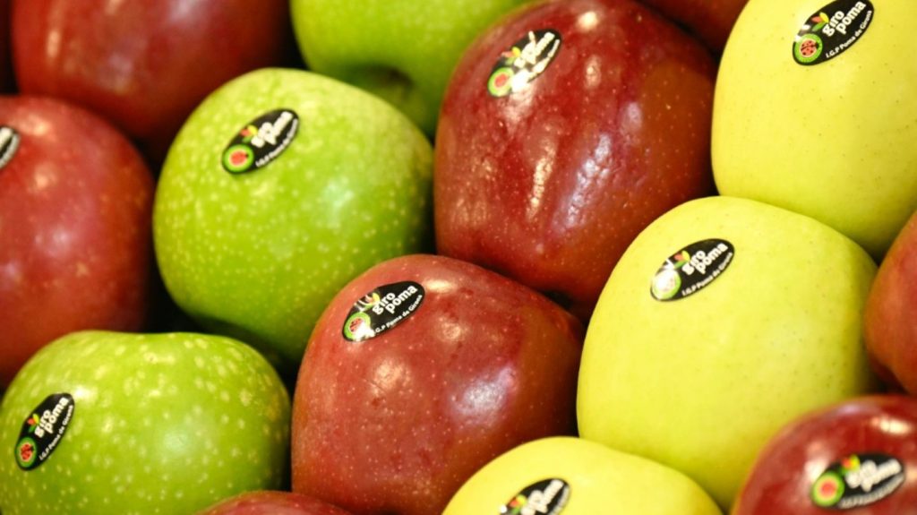 Schlechte Ernten: Lebensmittelindustrie warnt vor Engpässen besonders bei Obst