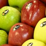 Schlechte Ernten: Lebensmittelindustrie warnt vor Engpässen besonders bei Obst