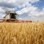 Förderung der Landwirtschaft: Ostdeutsche Bauernverbände kritisieren EU-Pläne