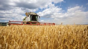 Förderung der Landwirtschaft: Ostdeutsche Bauernverbände kritisieren EU-Pläne