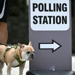 Großbritannien will bei Parlamentswahlen Wahlrecht ab 16 Jahren einführen