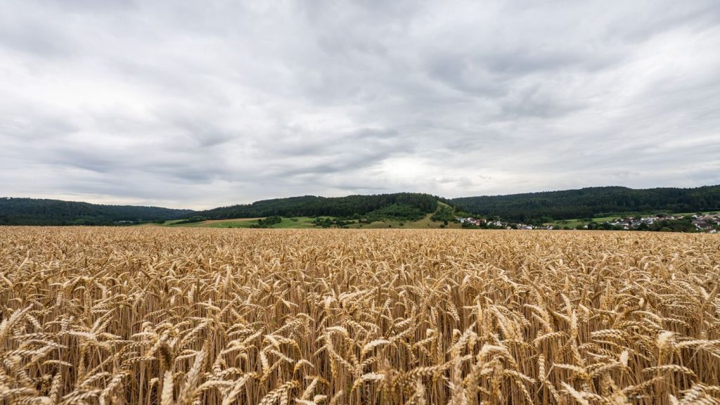 Wetter: Donnerstag oft bewölkt mit etwas Regen im Osten