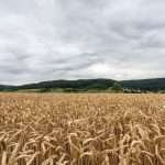 Wetter: Donnerstag oft bewölkt mit etwas Regen im Osten