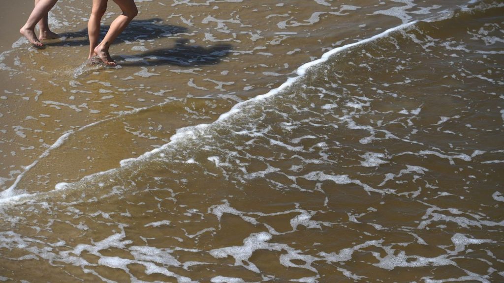 Wundinfektionen und Sepsis: Gefahr durch Vibrionen: Sommerhitze lässt das Risiko steigen