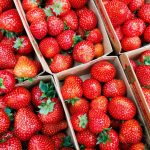 Landwirtschaft: Mini-Ernten bei Erdbeeren und Spargel
