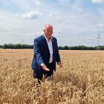 Landwirtschaft: Hessens Bauern kämpfen mit Trockenheit und Kosten