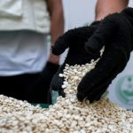 Drogenfund in Sachsen-Anhalt größer als angenommen: 360 Kilogramm Captagon
