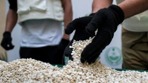 Drogenfund in Sachsen-Anhalt größer als angenommen: 360 Kilogramm Captagon