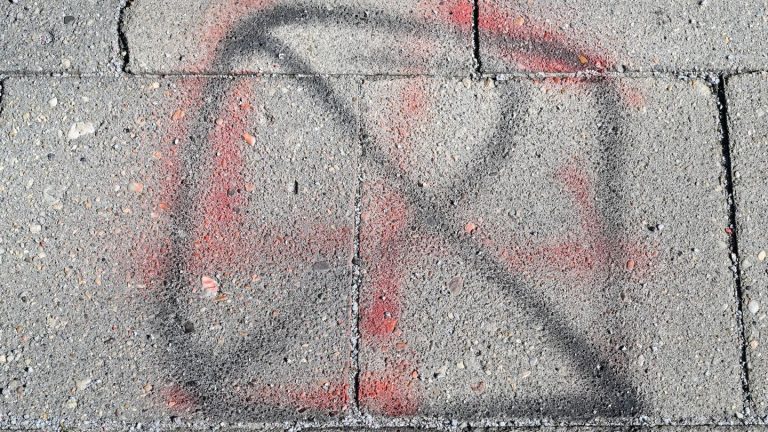 Spremberg: Bürgermeisterin warnt vor zunehmendem Einfluss von Neonazis