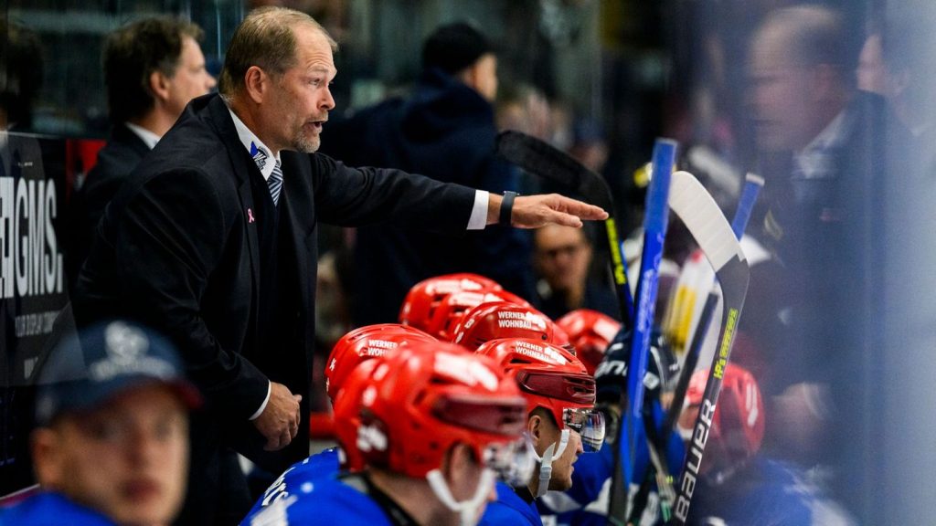 Deutsche Eishockey Liga: "Passt ins Profil": Wild Wings holen schwedischen Routinier