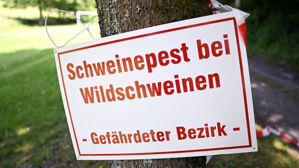 Tierseuche: Ministerin verteidigt Maßnahmen zur Schweinepest-Bekämpfung