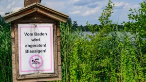 Vom Baden wird abgeraten: Blaualgen in Branitzer und Madlower See nachgewiesen