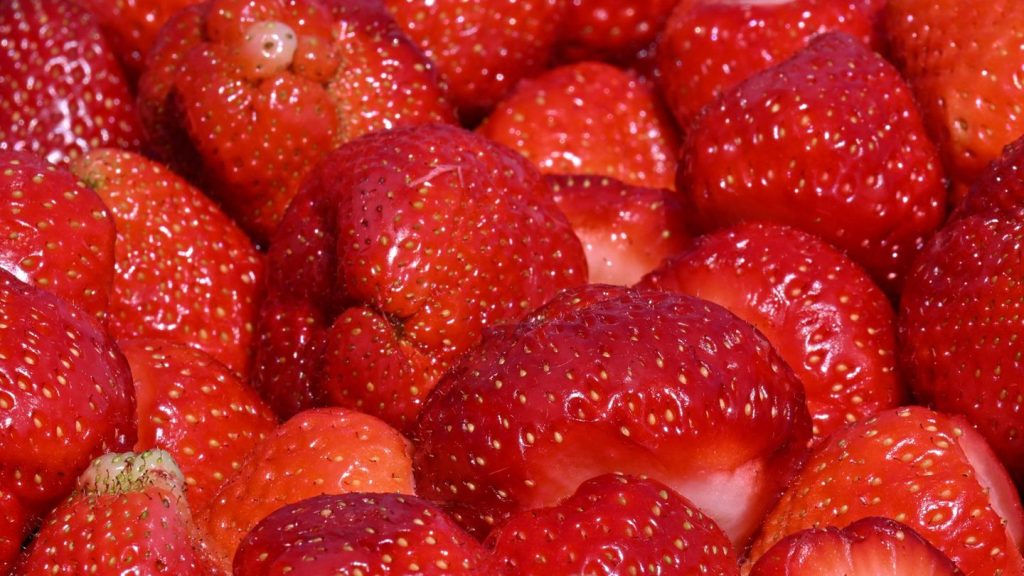 Agrar: Betriebe erwarten größere Erdbeerernte als im Vorjahr