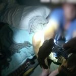 Kurioser Kriminalfall: Bizarrer Diebstahl in Australien: 53 rechte Schuhe geklaut