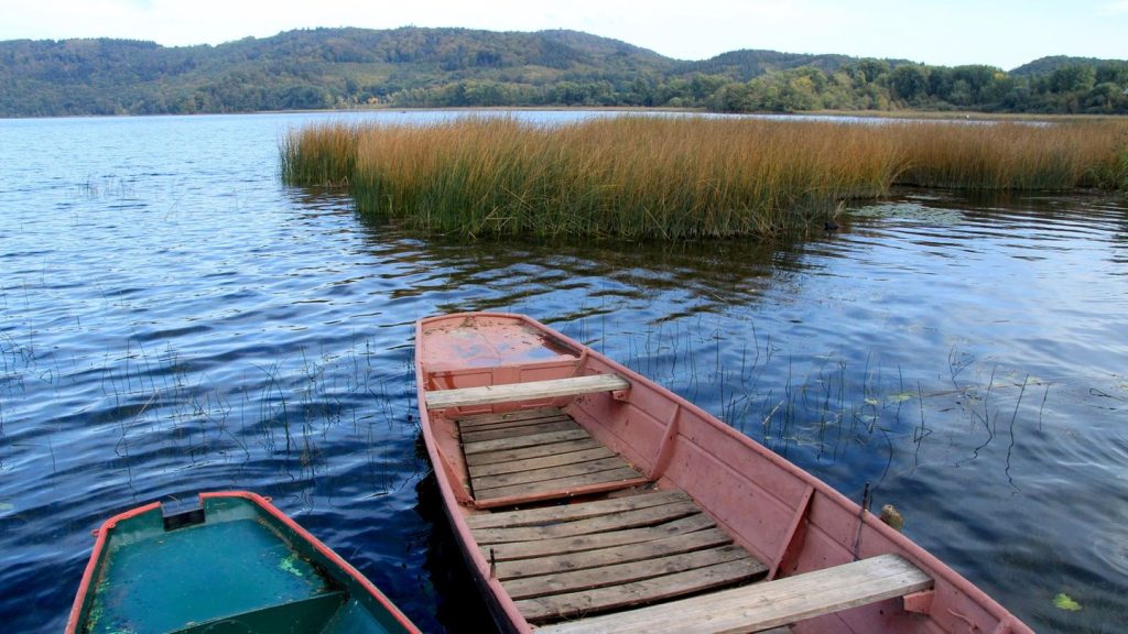 "Nacht der Vulkane": Erde in Bewegung: Der Vulkanismus-Hotspot in der Eifel