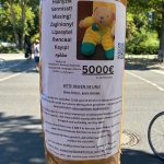 Gesellschaft: Teddy-Diebstahl in Berlin - Bär bleibt verschwunden