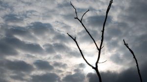 Wetterbericht: Schwül-heißes Wochenende: Unwetter und Hitze erwartet